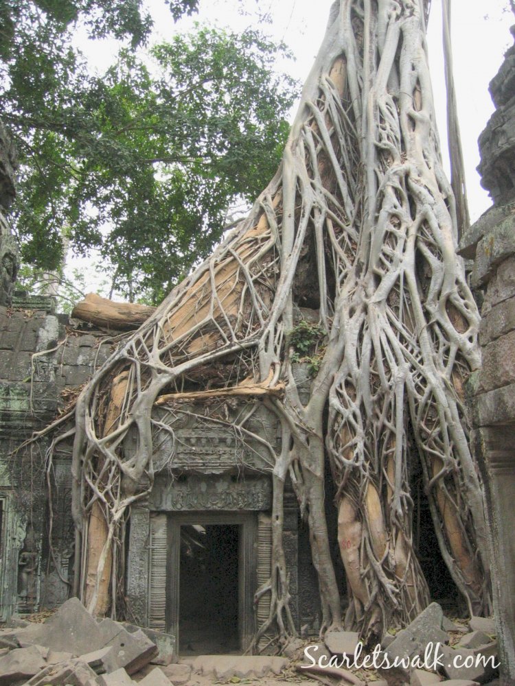 Angkor wat tempel Cambodza