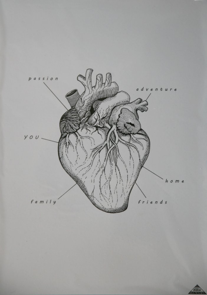 Magela heart