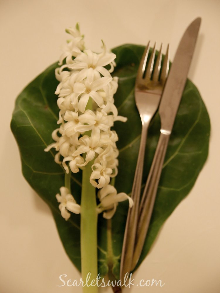 hyacint white