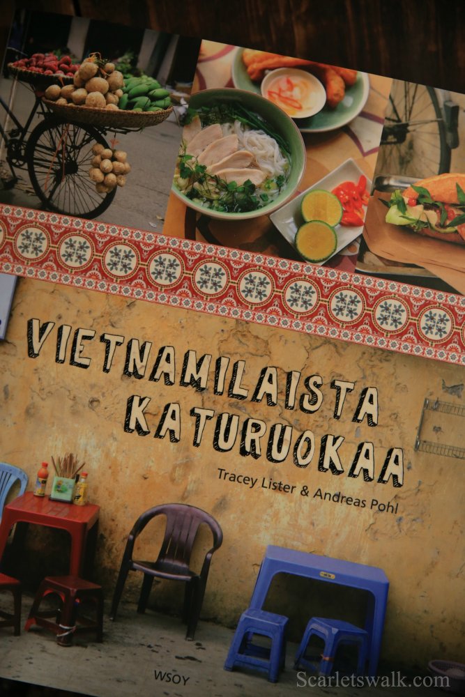 Vietnamilaista katuruokaa