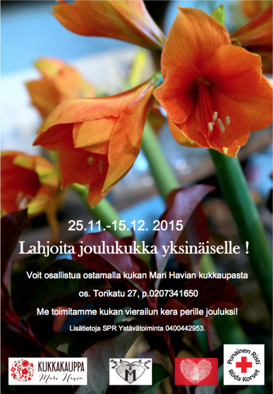 Joulukukka yksinäiselle