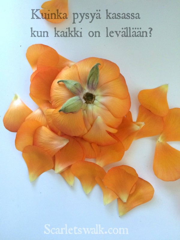 Kun kaikki on levällään